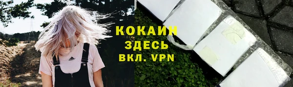 прущие крисы Горняк