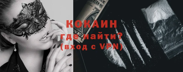 прущие крисы Горняк