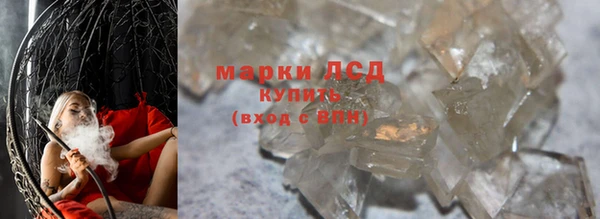 прущие крисы Горняк