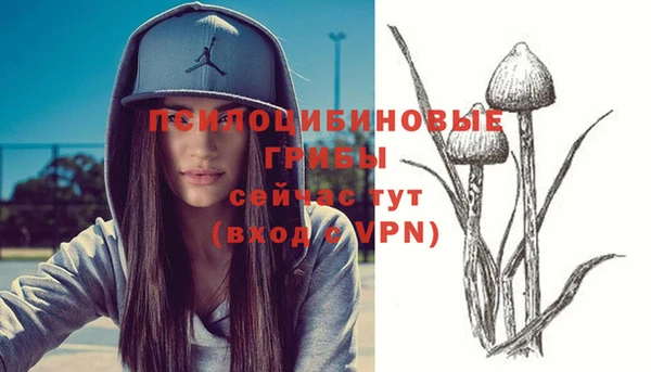 скорость mdpv Горно-Алтайск