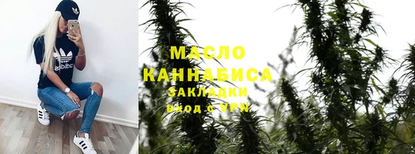 прущие крисы Горняк