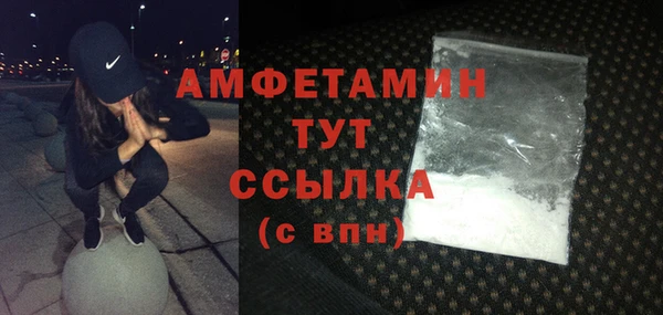 прущие крисы Горняк