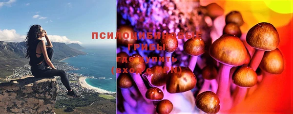 прущие крисы Горняк