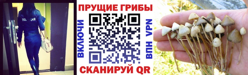 Купить закладки  Агидель  Галлюциногенные грибы ЛСД 