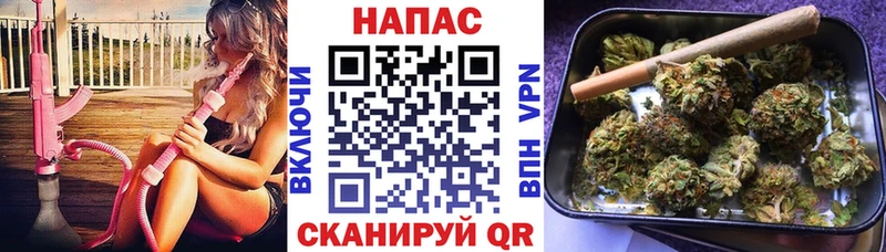 Бошки Шишки сатива  Купить закладки  Агидель 